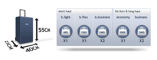 brussels airlines baggage cost